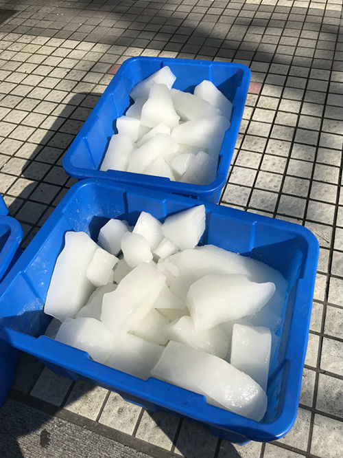 上海降温冰块公司